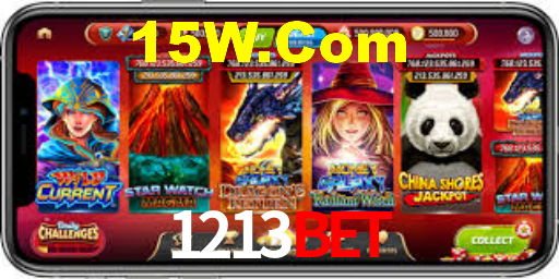 Interface Premium 1213bet